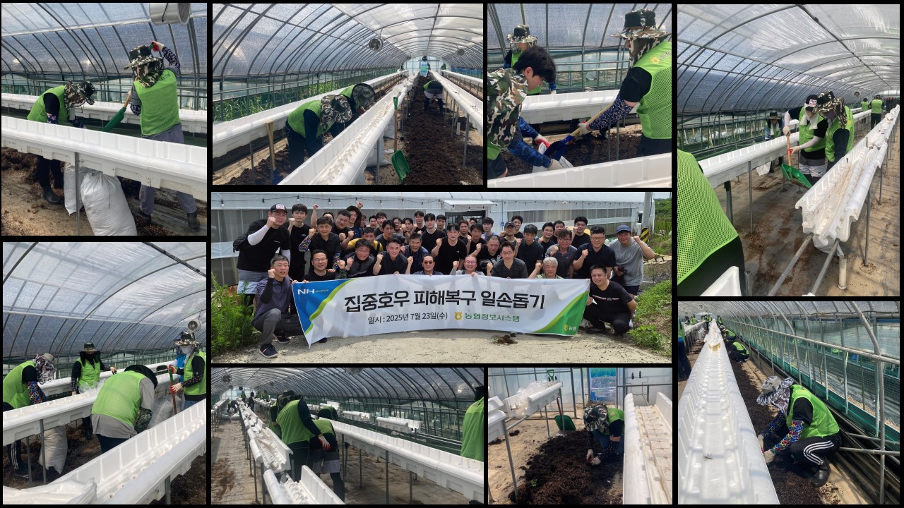 농협정보시스템 집중호우 피해농가 일손돕기 실시 대표이미지